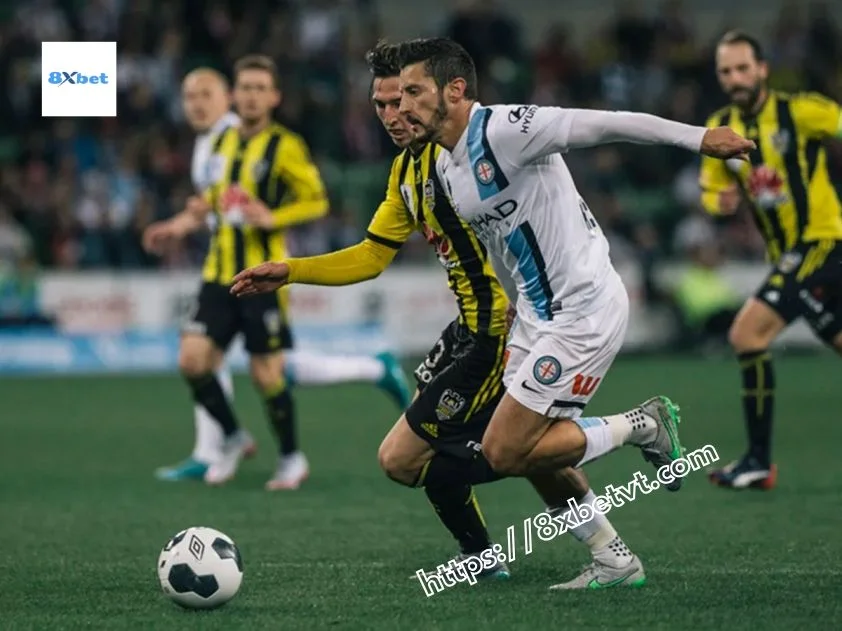 Wellington đấu với Melbourne City: Cuộc chạm trán đầy thách thức