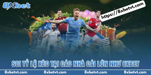 Soi tỷ lệ kèo nhà cái tại các nhà cái lớn như 8XBet